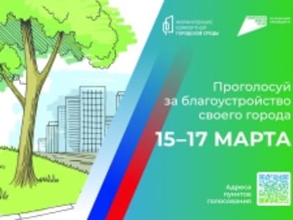 Жители Челябинской области с 15 по 17 марта смогут проголосовать за благоустройство своего муниципалитета
