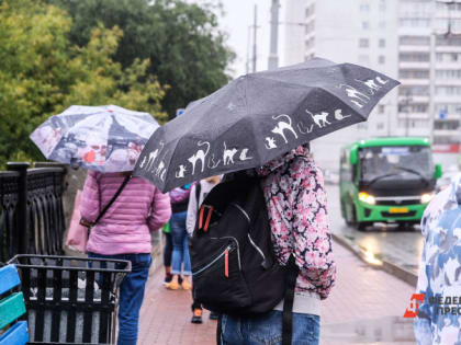 В Челябинской области в выходные прогнозируют дожди и холод