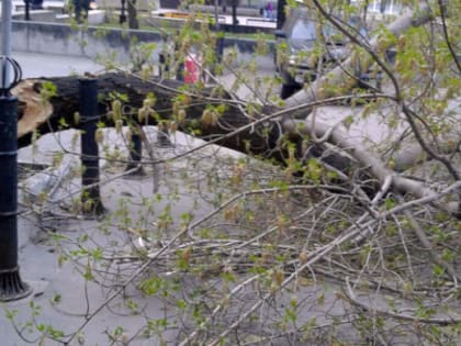 Жара уходит с боем: в Челябинской области ожидаются шквалистый ветер и град