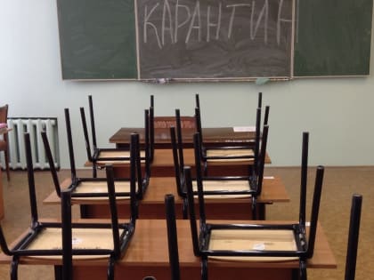 В Челябинской области две школы закрыты на карантин