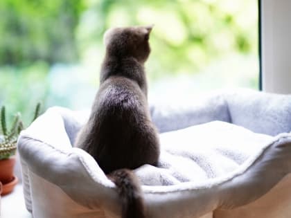 Грозы вернулись в Челябинскую область