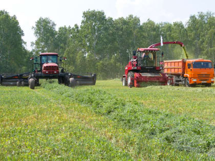 Юбилейная агропромышленная выставка в Челябинске: достижения и новые направления экспорта