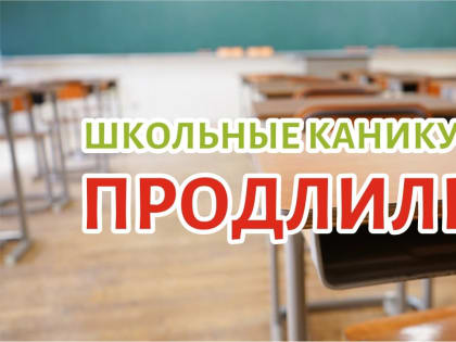 Мороз продлил новогодние каникулы в школах Челябинской области, но не во всех