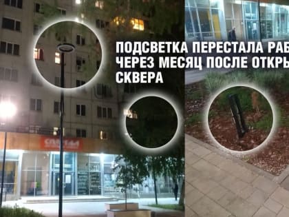 Скоропортящееся благоустройство