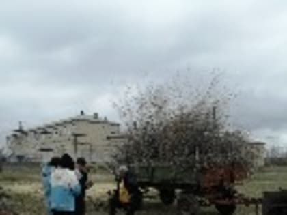 Началась реализация проекта инициативного бюджетирования в п. Увельском