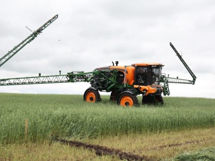 В Челябинской области увеличат поддержку малых сельхозпредприятий