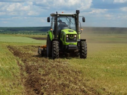 На Южном Урале фермеры обошли крупные хозяйства по аграрному росту