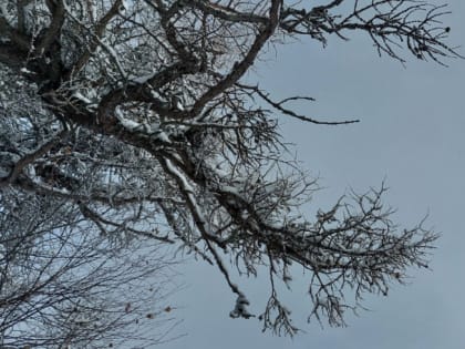 Челябинскую область на фоне оттепели до +2 градусов накроет мокрым снегом