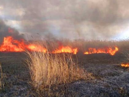 Возобновление лесных пожаров на Южном Урале может привести к массовым недомоганиям