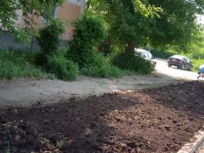 В городе скоро появятся живые цветы