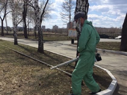 Горожан просят воздержаться от прогулок в парках и скверах