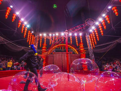 Двое детей из Челябинска отравились на цирковом фестивале в Перми