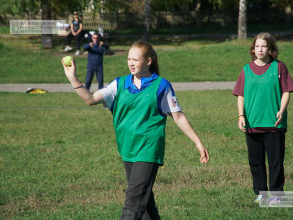 Играем в лапту!