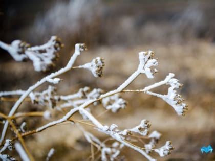 Холода пока не отступают: магнитогорцам обещают прохладную неделю