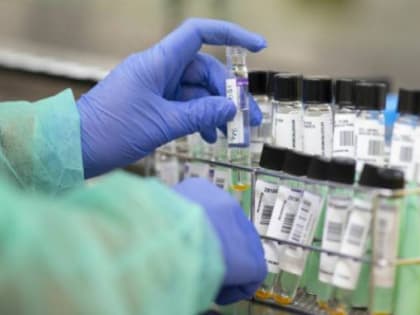 Количество случаев COVID-19 в Челябинской области превысило 397 тыс.