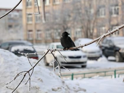 Южноуральцев предупредили о возможных ЧС в связи с резким похолоданием до -38 градусов