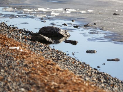 На Челябинскую область надвигается похолодание до -11 градусов