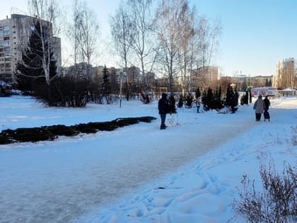 В Озерске заработали ёлочные базары