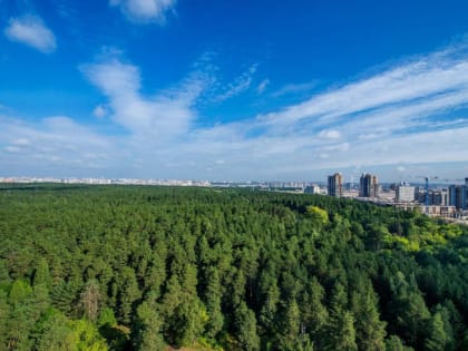 В Челябинске увеличат охранную территорию городского бора почти на 63 гектара