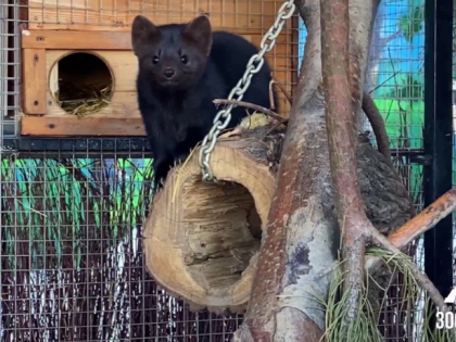 Анонсы событий и мероприятий на третье февраля (18+)