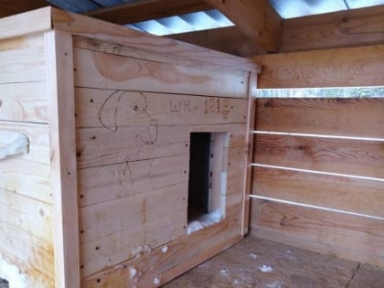 Снежинские партийцы запустили эстафету добра