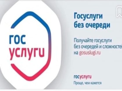 Государственные услуги в электронном виде