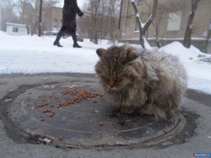 В выходные в Миассе снова похолодает