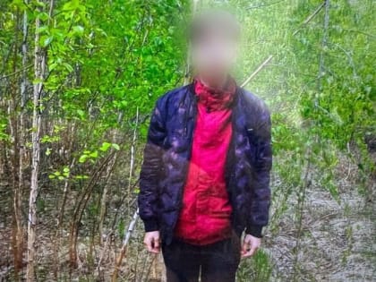 В Челябинске родители 15-летнего подростка заявили о его похищении