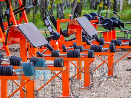 В России тренажеры во дворах хотят признать спортивными объектами