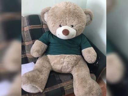 Озерчанин украл плюшевого медведя в аэропорту Кольцово, но попался полицейским