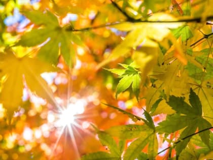 Про отопление официально