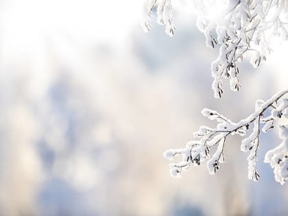 Снегопады ожидаются в Челябинской области