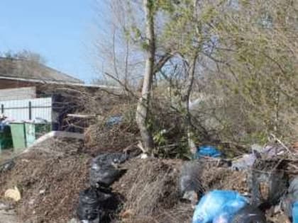 В «Багдаде» все стабильно