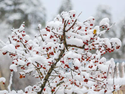 В выходные в Челябинской области мороз и сильный ветер