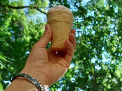 После дождей и гроз Челябинскую область вновь накроет 33-градусная жара