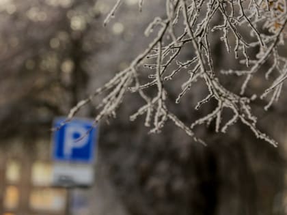 В декабре температура воздуха на Южном Урале поднималась почти на 10 градусов выше нормы