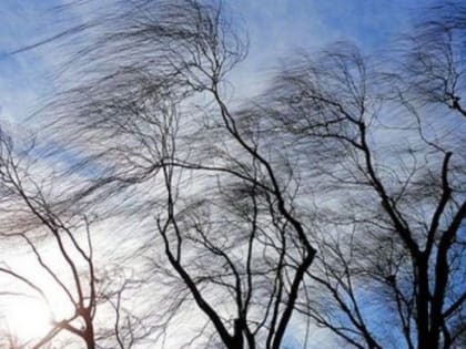 ВНИМАНИЕ. Ветер до 20 м/с ожидается в Челябинской области