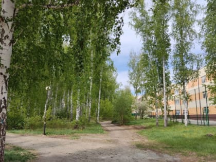 В  «Парковом» появятся новые сквер и экотропа