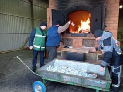 В Челябинской области сожги 240 банок с печенью трески из Исландии