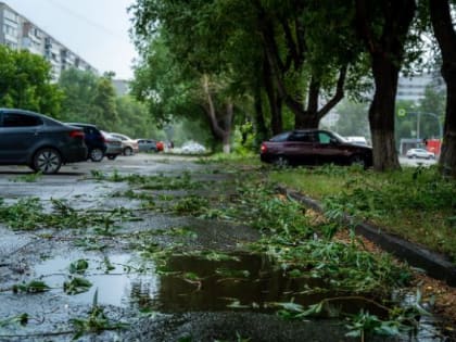На Челябинскую область обрушатся дожди и грозы