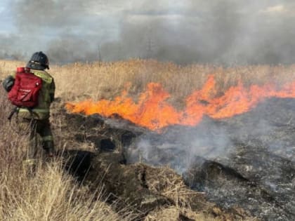 В Челябинской области с 12 апреля установлен особый противопожарный режим! Костры, сжигание травы и мусора, пожароопасные работы под запретом!