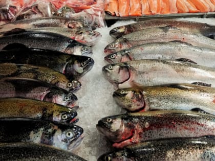В Минздраве назвали семь главных продуктов для долголетия