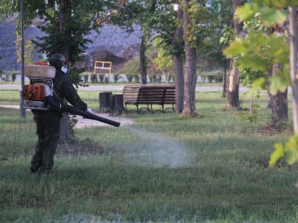 В Магнитогорске парки обрабатывают от клещей