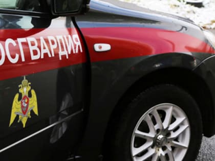 В Челябинске росгвардейцы застрелили агрессивного мужчину с ножом