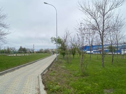 Вирус бешенства обнаружен у животных в Долгодеревенском
