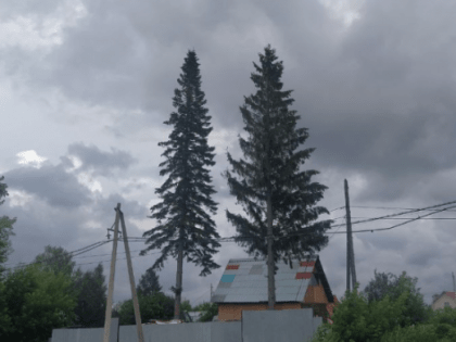 Холодная погода в Челябинской области