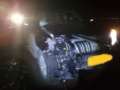 На трассе под Челябинском водитель Toyota Land Cruiser насмерть сбил мужчину