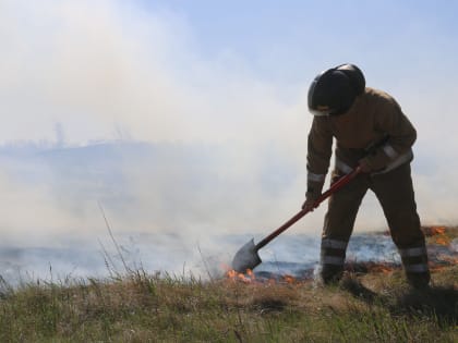 Берегите лес от пожара