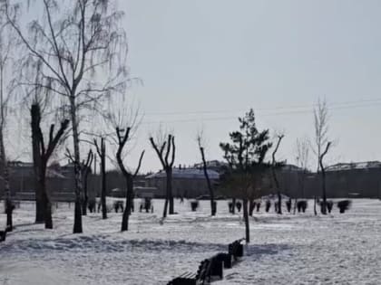 Магнитогорцам показали, как может преобразиться сквер «Музыкальный»