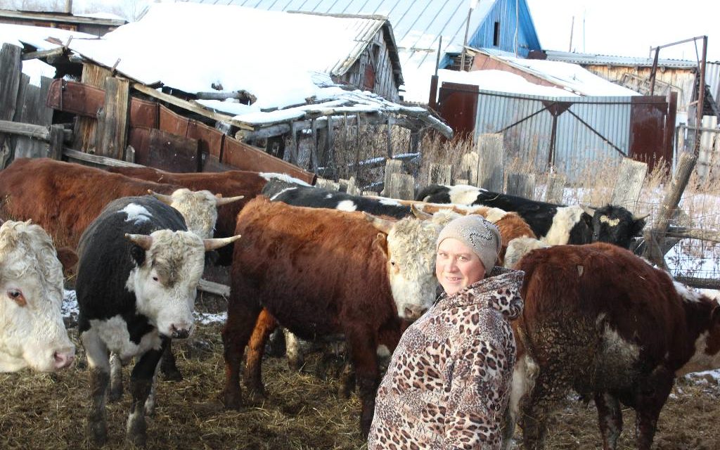 Погода в целинном троицкого челябинской. Целинный Челябинская область.